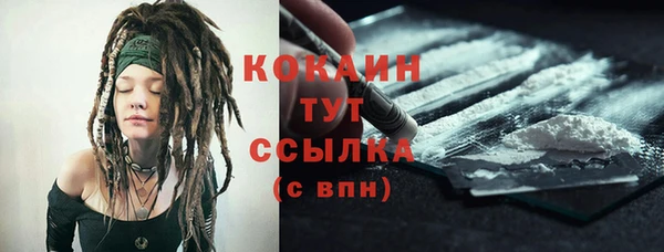 эйфоретик Гусев
