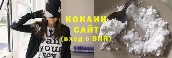 бошки Гусь-Хрустальный