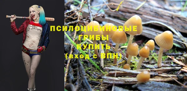 эйфоретик Гусев