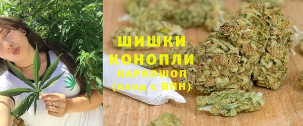 эйфоретик Гусев