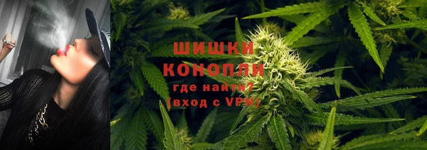 эйфоретик Гусев