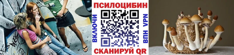 Псилоцибиновые грибы мицелий  Новая Ладога 